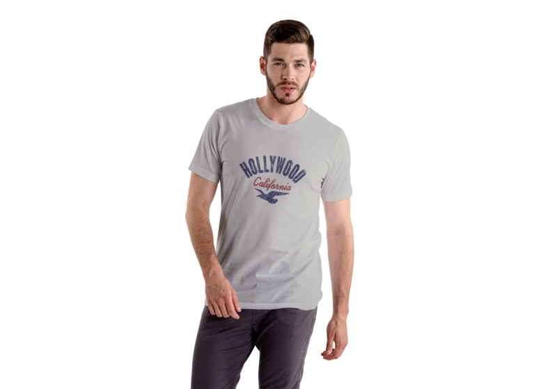 Hollywood California Eagle Graphic Tee – Grey