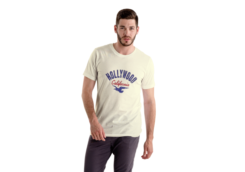 Hollywood California Eagle Graphic Tee – White
