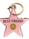 Best Friend Star Keychain – Hollywood Walk of Fame Style