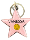 Vanessa Hollywood Star Keychain – Pink