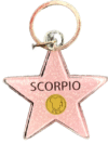 Scorpio Star Keychain – Hollywood Walk of Fame Style